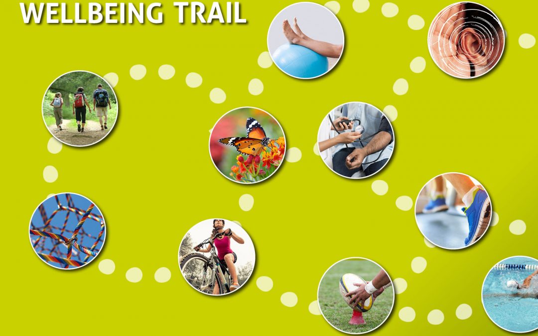 Wellbeing Trails and Big Picnic